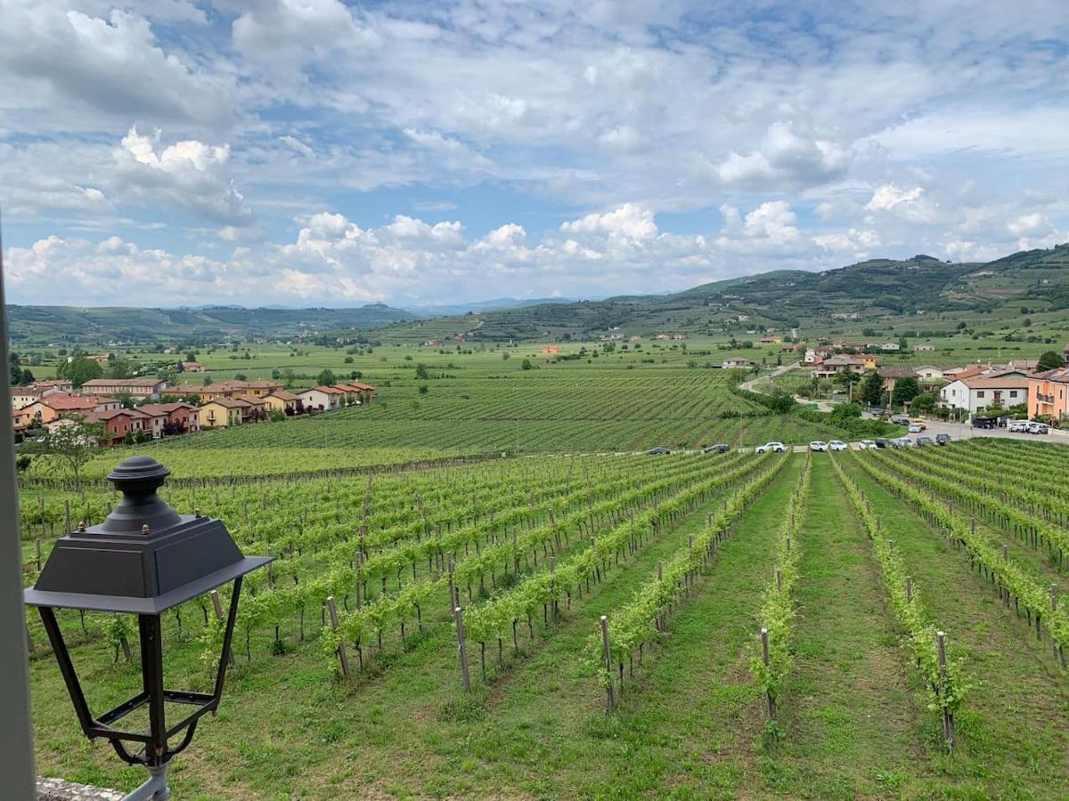 Soave House Alle Vigne-2-Luxury Stay Ngoại thất bức ảnh